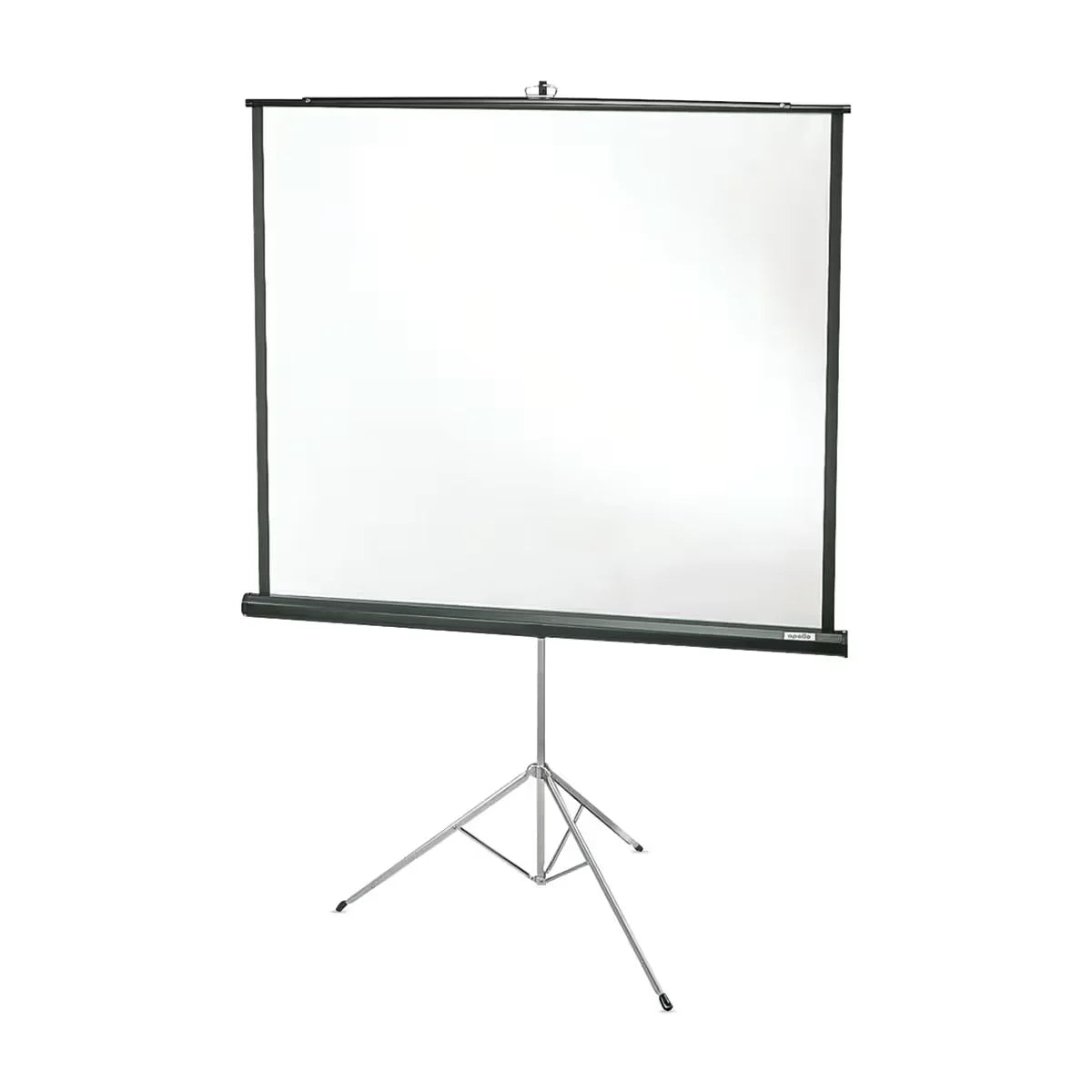 Apollo Projection Screen   60 x 60