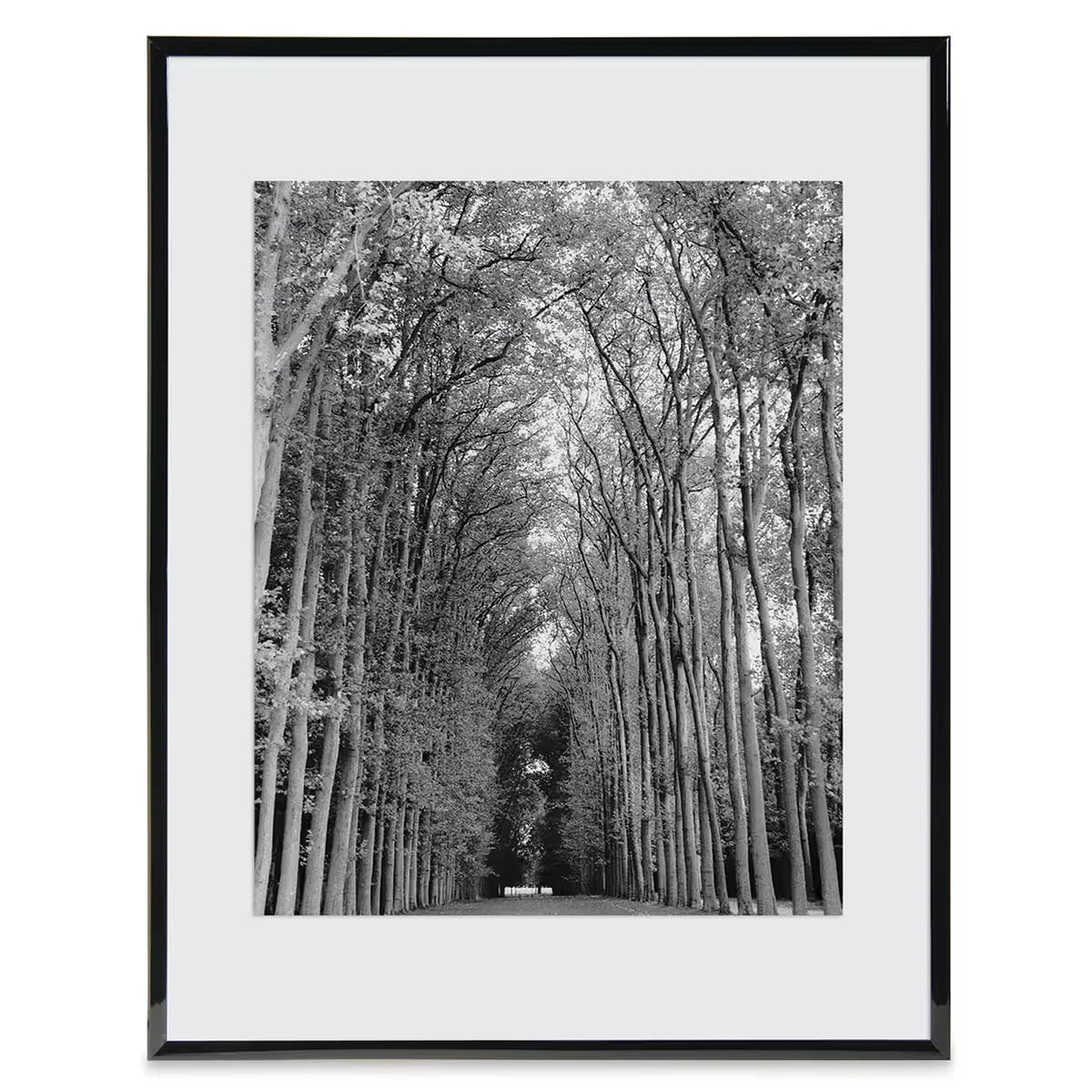 MCS Float Frame  Black 8 x 10