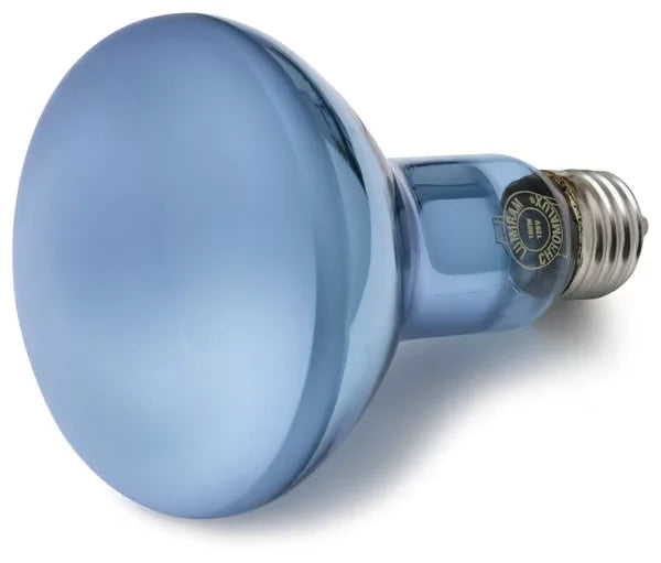 Chromalux Full Spectrum Incandescent Reflector Light Bulb  100W