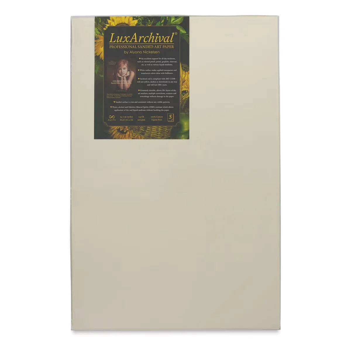 Brush and Pencil LuxArchival Professional Sanded Art Paper  8 x 10 400 Grit Pkg of 10