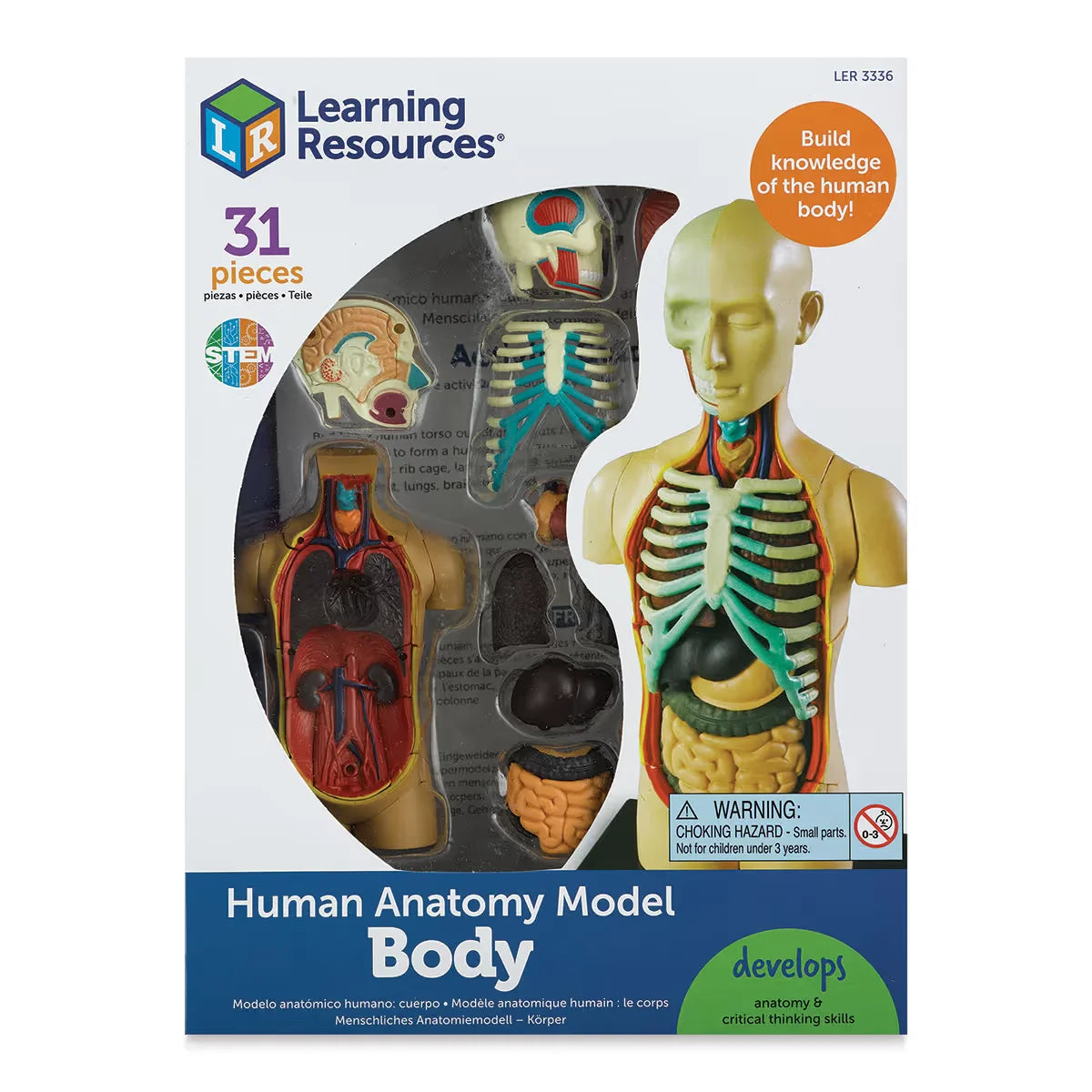 Learning Resources Human Anatomy Model  41/2