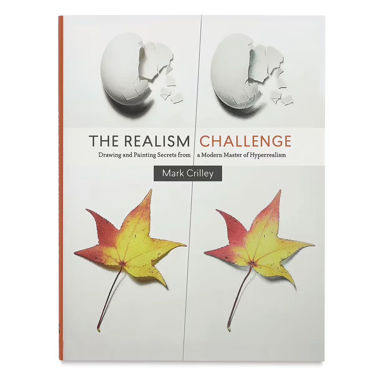 The Realism Challenge  Paperback