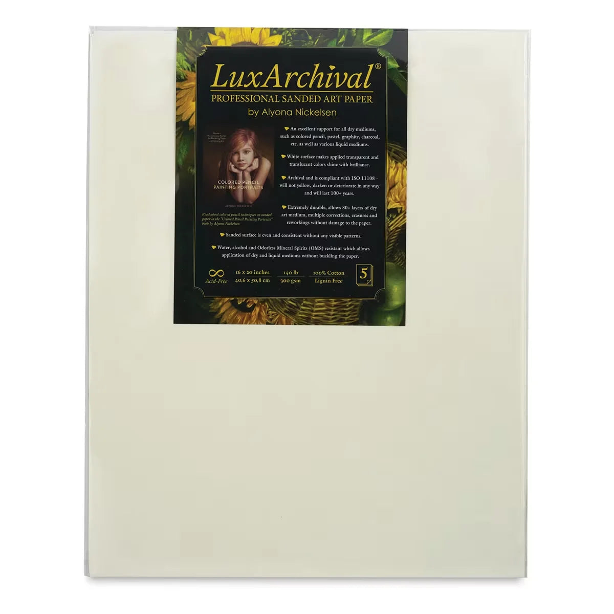 Brush and Pencil LuxArchival Professional Sanded Art Paper  8 x 10 400 Grit Pkg of 10