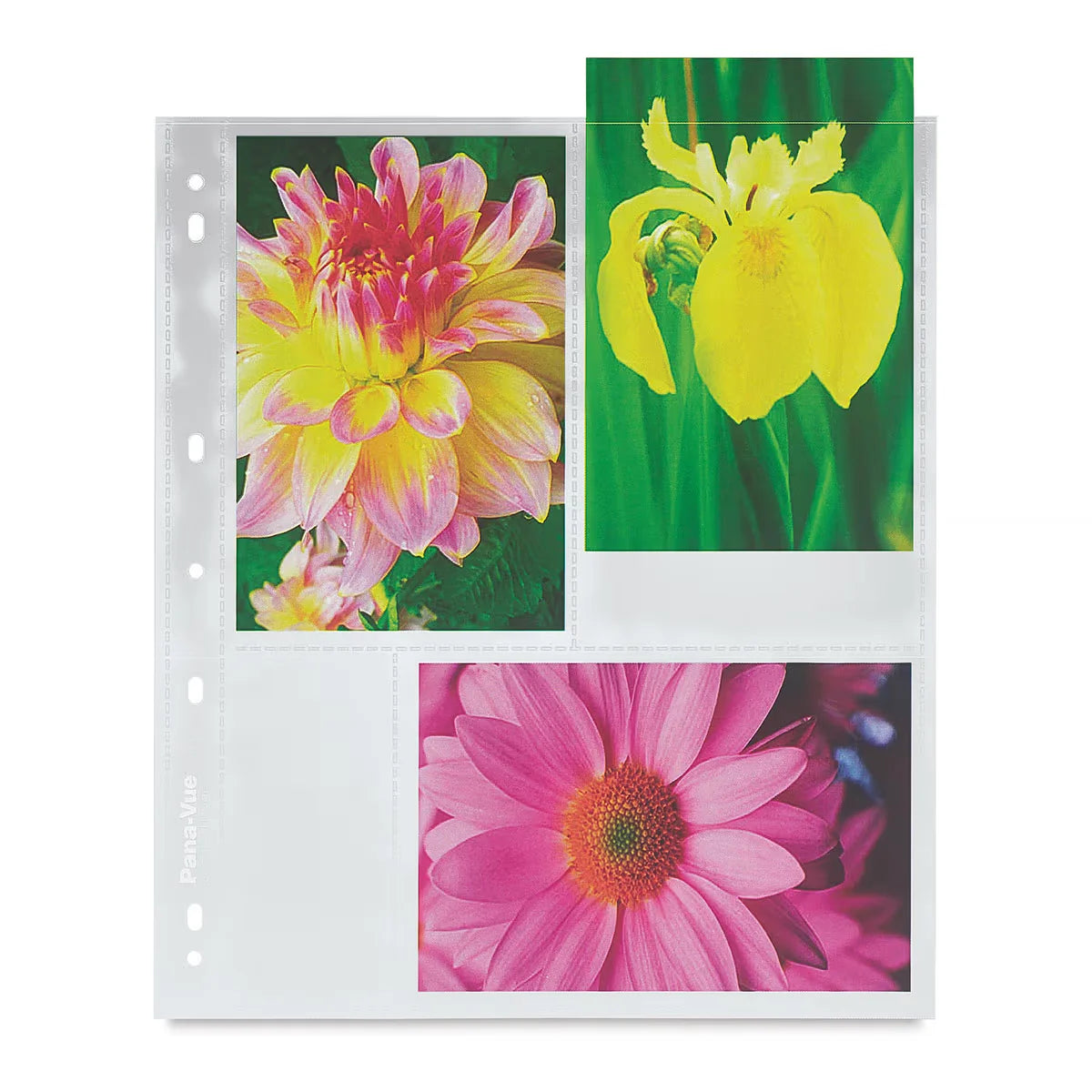 PanaVue Archival Pages  6 cm × 6 cm Transparency Sleeve