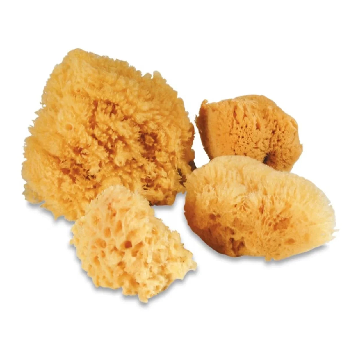 Royal & Langnickel Super Value Sponge Set  Set of 4