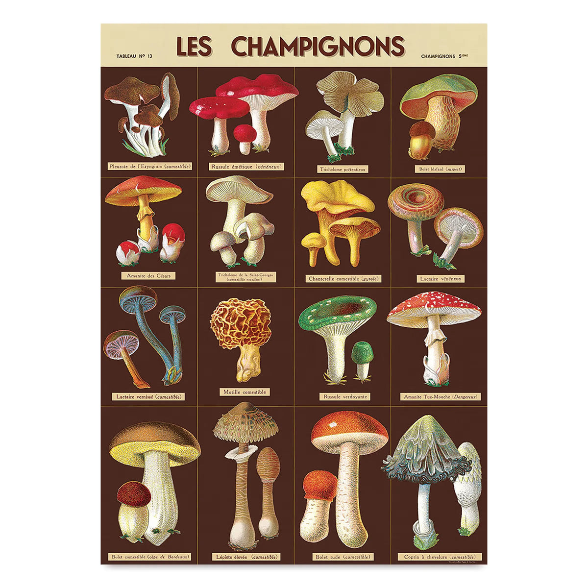 Cavallini Les Champignons Gift Wrap