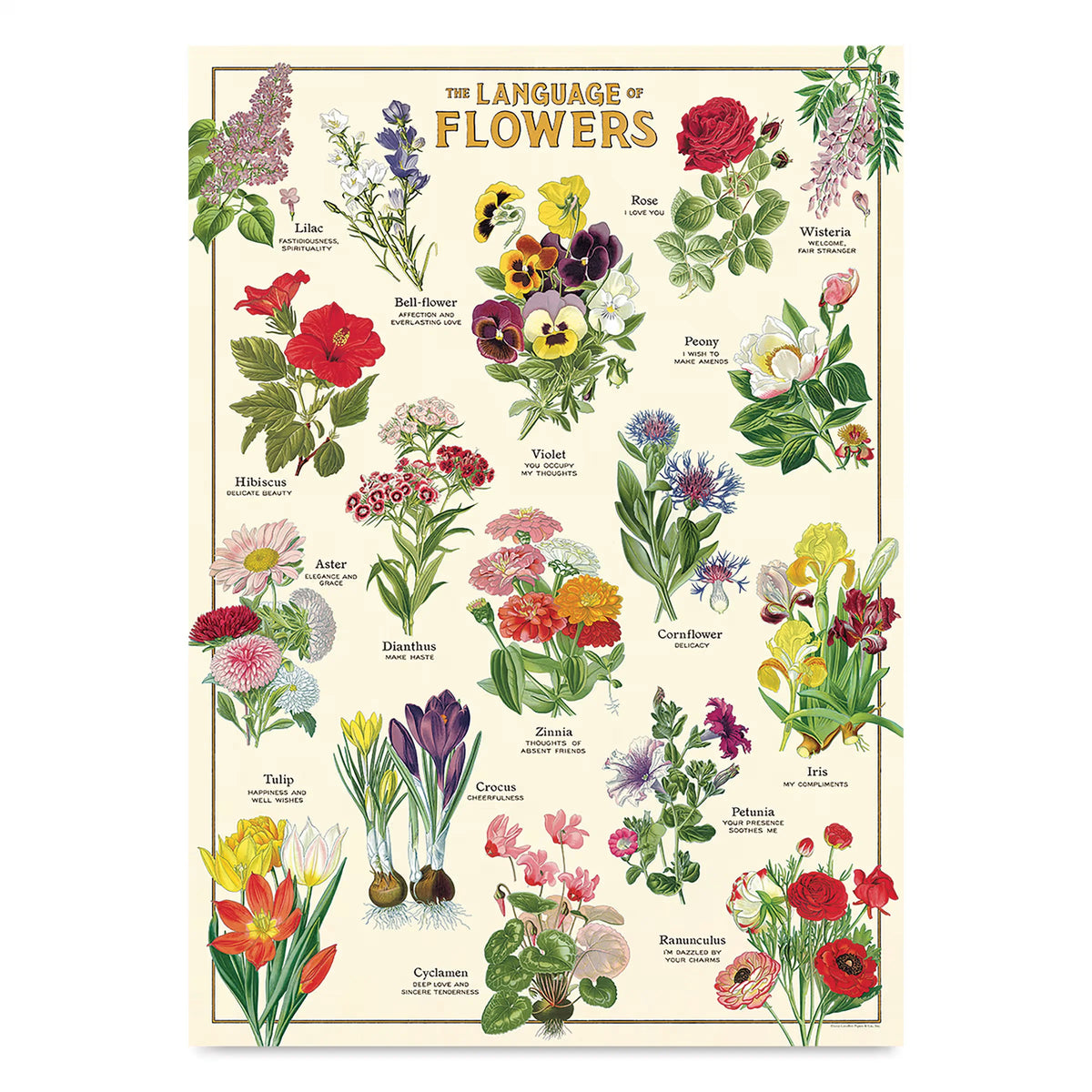 Cavallini Language of Flowers Gift Wrap