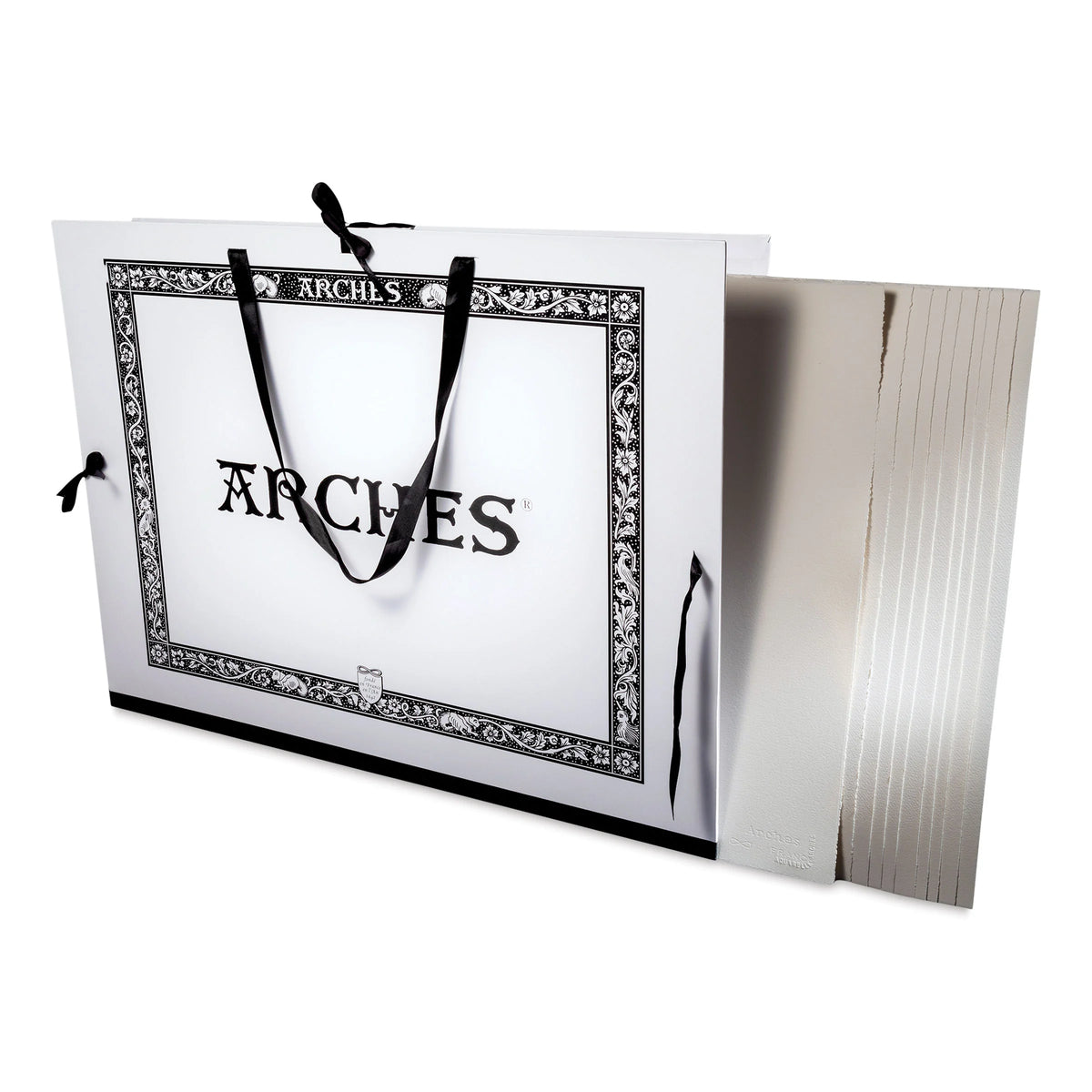 Arches Aquarelle Watercolor Sheets and Portfolio Set  Blick Exclusive! 22 x 30 140 lb Cold Press 10 Sheets